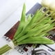 thumbnail image 2 of EeaseMX Tulipanes artificiales de tacto real, flores de tulipán de imitación para decoración de bodas, fiestas, balcones, patios y bares (champán), 2 of 7