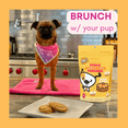 thumbnail image 4 of Bark Bistro Carrot Cake Pooch Pancakes Mix / Dog Cake Mix, top w/Buddy Budder, 100% all natural, Healthy Dog Treats, No Sugar or Preservatives (14oz), 4 of 6