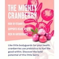 thumbnail image 5 of Ocean Spray Pink Cranberry Juice 1L, British Import (Pack of 2), 5 of 5