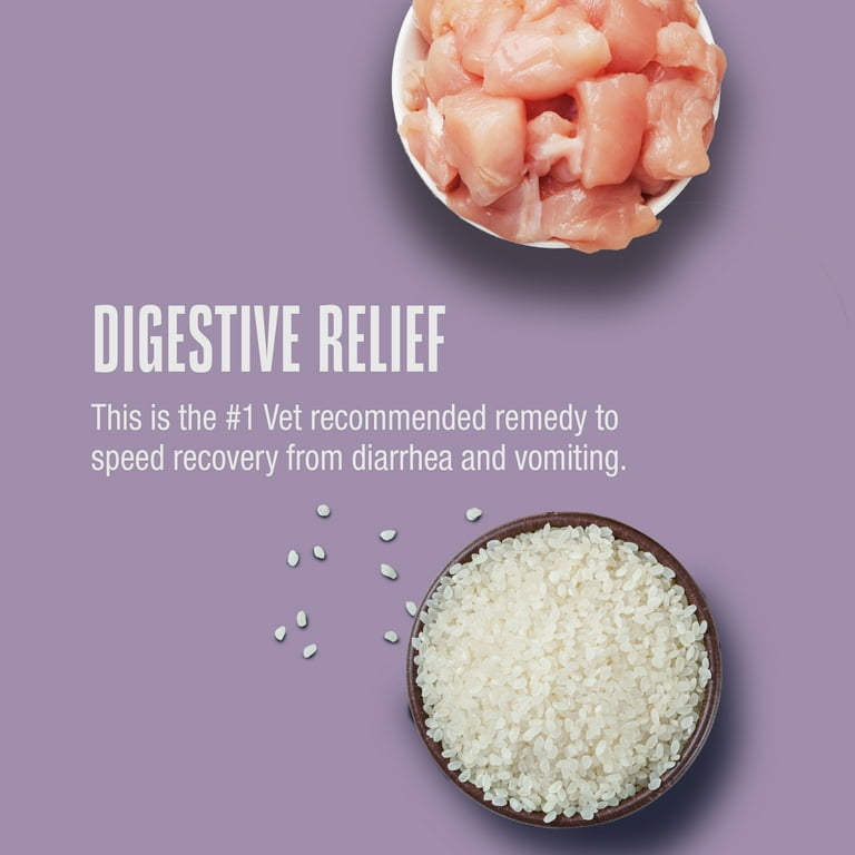 Foods For Dog Diarrhea Food Remedy Doggie Diarrhea Remedies To Try - Main Image