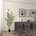 thumbnail image 3 of Vickerman VICK-FU191572 Vickerman 72" Potted Baby Leaf Tree - FU191572, 3 of 3