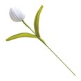 thumbnail image 1 of Flor de tulipán artificial preservada hecha a mano, terminada y hecha a mano, ideal como regalo para mujeres, amantes, aniversarios, día de la madre., 1 of 8