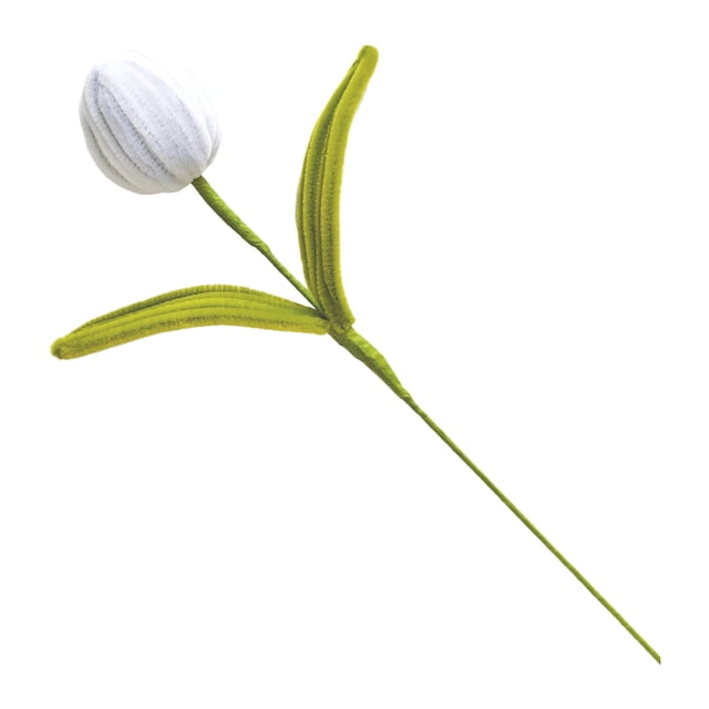 Flor de tulipán artificial preservada hecha a mano, terminada y hecha a mano, ideal como regalo para mujeres, amantes, aniversarios, día de la madre.