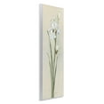 thumbnail image 4 of Stupell Industries Simple Iris on Beige Plants & Flowers Painting Unframed Art Print Wall Art, 7 x 17, 4 of 8