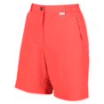 thumbnail image 2 of Regatta - Pantalones Cortos Chaska II para Mujer (Melocotón Neón), 2 of 4