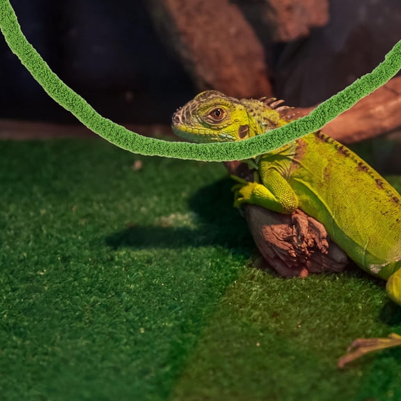 WEUVEB Reptile Climbing Vine Green Faux Moss for Lizard and Snake Use