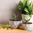 thumbnail image 4 of Figura decorativa con forma de lagarto en forma de vaso Home para escritorio, 4 of 6