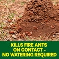 thumbnail image 4 of Raid Outdoor Fire Ant Mound Killer, Dust Insecticide for Outside Household Use on Ants, Fire Ants and Termites, Lasts 1 Year, Kills the Queen, Works Fast and Easy-To-Use, 24 oz, 4 of 14