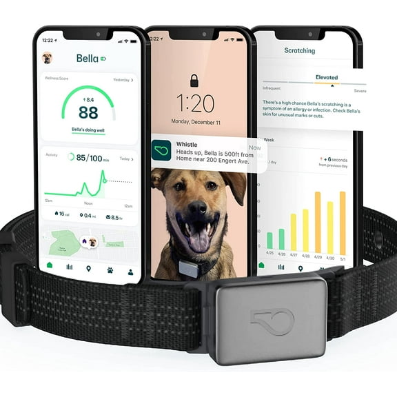 Whistle Switch Smart Collar Kit - GPS location, Health & Fitness, Shadow (Black), XS/S