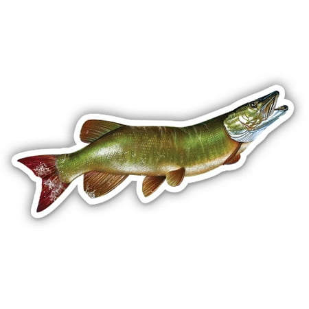 Muskie - 3" Vinyl Sticker - For Car Laptop I-Pad Phone Helmet Hard Hat - Waterproof Decal