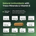 thumbnail image 3 of SANDHUS | Liver Cleanse Detox & Repair | 70 cápsulas, 3 of 3