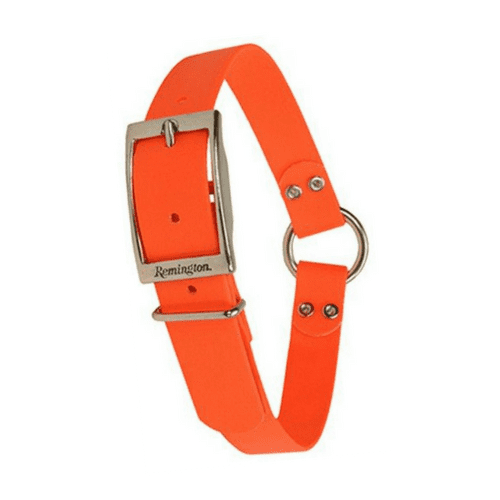 safety orange dog collar