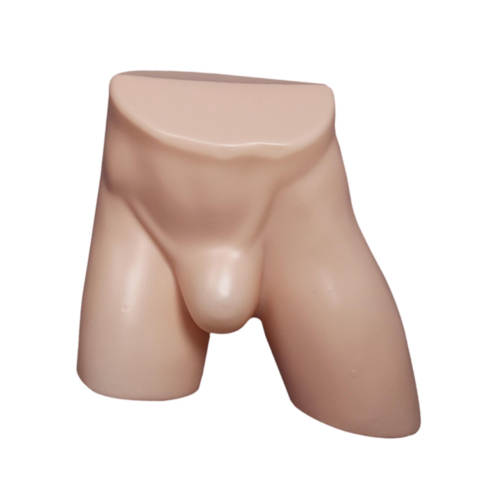 Dualoai Male Underpants Stand Male Mannequin Hip Underpants Showcase Support Mans Briefs Skin
