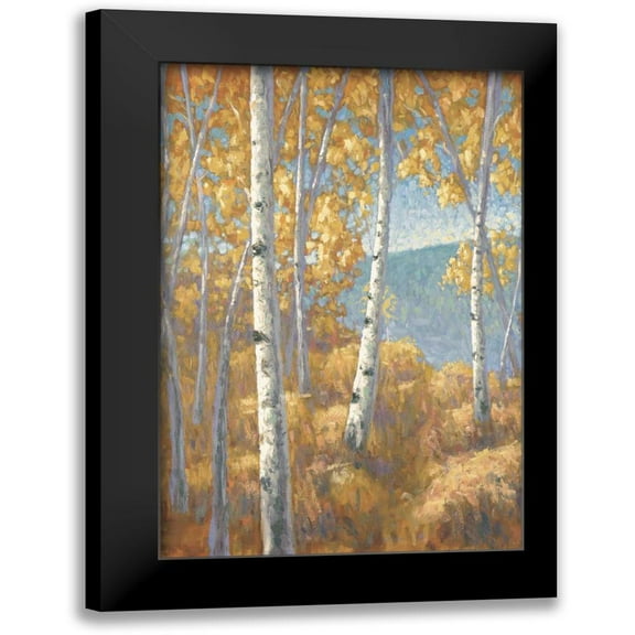 Macnab, John 11x14 Black Modern Framed Museum Art Print Titled - Aspen Forest I