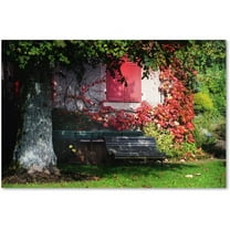 Trademark Fine Art "Parenthesis" Canvas Art by Philippe Sainte-Laudy