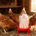 thumbnail image 5 of 3L Heated Chicken Waterer for Winter Hanging Chicken Waterer with Heater 100W Heated Poultry Waterer, 5 of 7