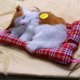 thumbnail image 1 of Un gato simulado llamará a un gato dormido, almohadilla de tela, regalo para gatos, manualidades para gatos, juguetes, adornos para autos, 1 of 6