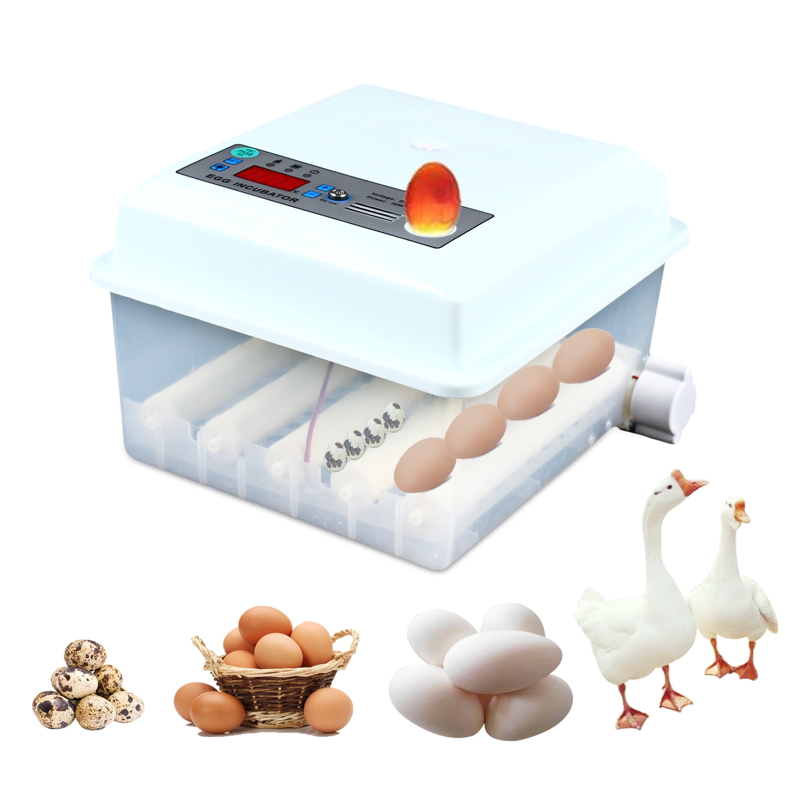 Fully Automatic 16 Eggs Incubator, Digital Egg Incubator with Automatic