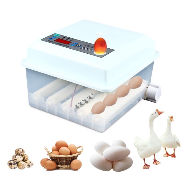 Humidity Incubator Chicken Eggs