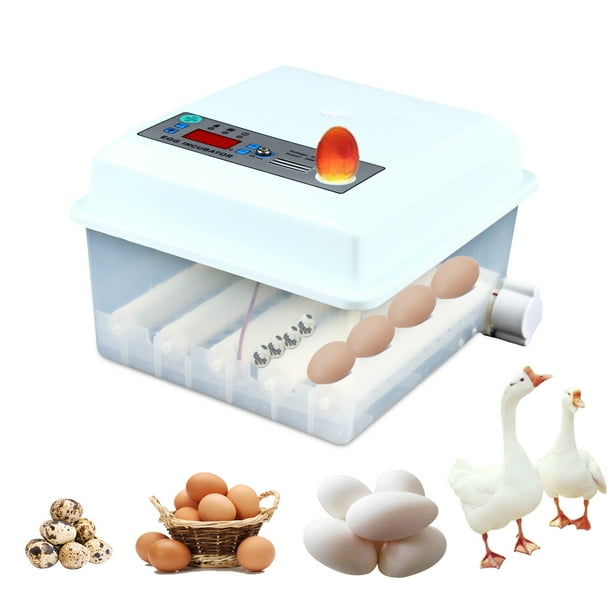 Fully Automatic 16 Eggs Incubator, Digital Egg Incubator with Automatic