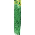 thumbnail image 2 of Amscan Adult Grass Party Hula Skirt, 28" x 42", XL, 2 of 2