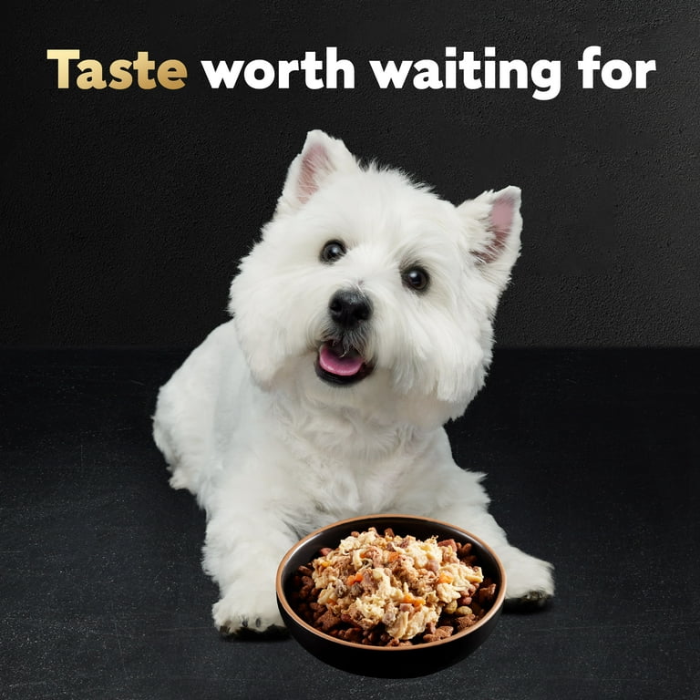 Cesar Wholesome Bowls Wet Dog Food Adult 3 oz