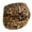 Khaki, variant on Breathable Leopard Pattern Beret Cap Comfortable Faux Suedes Fabric Elastic Fit Fashion Winter Hat For Winter Fall Outfits