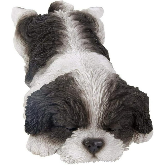 Hi-Line Cadeau Statue de Chiot Shih Tzu Dormant