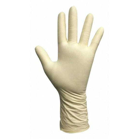 Condor Disposable Gloves,Rubber Latex,XL,PK100 53CV57