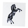 thumbnail image 1 of Completo de Inicio de , para Principiantes de Estampada, Color, de Herr Caballo BLESIY Bordado a mano, 1 of 8