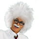 Blanc Fou Scientifique Perruque Einstein Adulte Halloween Frisottis Costume Accessoire – image 2 sur 2