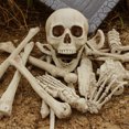 thumbnail image 1 of 28Pcs Halloween Skeleton Bones Halloween Props Skeleton Tricky Bones Haunted House Party Decorations, 1 of 7
