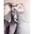 thumbnail image 3 of Colberg, Lisa 12x14 Black Modern Framed Museum Art Print Titled - Elephant Trail 1, 3 of 5