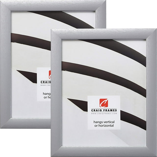 Craig Frames 23247018 4 x 6 Inch Picture Frame, Brushed Silver, Set of 2
