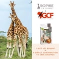 thumbnail image 2 of Set de la Fundación Toy Sophie la girafe para la conservación de jirafas, 2 of 7