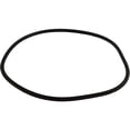 thumbnail image 2 of All Seals Replacement Filter Tank O-Ring for Purex CFW/2000, 18" Tank Body AS-053LE, 2 of 2