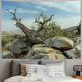 thumbnail image 2 of Orinice Rocks Desert Tapestry Wall Hanging Unique Style Graphic Tapestries Home Wall Decor for Living Room Bedroom Apartment Farmhouse 40x60inch, 2 of 6