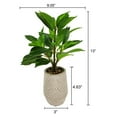 thumbnail image 5 of Lerman Decor's slim plant in zigzag pot, 5 of 5