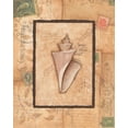 thumbnail image 2 of Marrott, Stephanie 20x24 Gold Ornate Wood Framed with Double Matting Museum Art Print Titled - Wonder Shell, 2 of 4