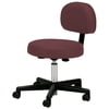 EarthLite Rolling Massage Stool with Back Support