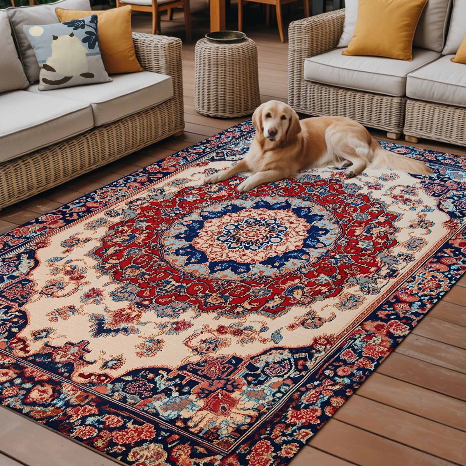 Outdoor Rug 5x8ft Oriental Medallion Large Area Rug Retro Accent Indoor Outdoor Carpet Outdoor Rugs Mats for Patio Camping,RV,Front Door, Outside Decor
