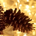 thumbnail image 3 of Luces navideñas HISHINY, 100 unidades, pequeñas, transparentes, 6,4 m, 3 of 5
