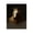 Majestic Horse Rider Illusion, variant on Stupell Industries French Country Abstract Rider Horse Illusion Canvas Art, 16 x 20, by Svetlana Aleynikova