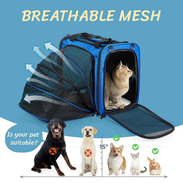 Dog How To Get Your Cat In A Cat Carrier LitaiL Foldable Cat