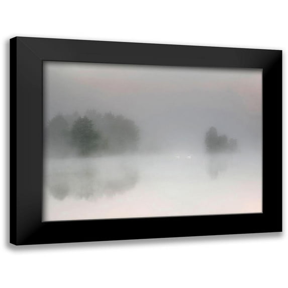 Emanuelson, Bjorn 24x19 Black Modern Framed Museum Art Print Titled - Misty morning