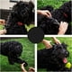 thumbnail image 4 of 5 Pcs Tijeras de Aseo Kit Adelgazamiento Complimentos Mascota Color Brillante Ecológico Duradero, 4 of 9