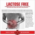 thumbnail image 2 of MuscleMeds CARNIVOR Beef Protein Isolate Powder, Muscle Building, Recovery, Lactose Free, Sugar Free, Fat Free, 23g Protein, Halal Certified, Chocolate, 56 Servings, 2 of 7