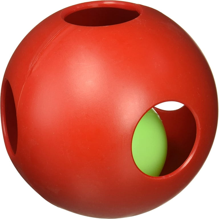 Jolly Pets Teaser Ball inch Red Hard Plastic plus Squeaker Toy