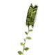 thumbnail image 1 of Material de floricultura Imitación de cuero Hoja de oro Plata Cinta Pastel Flor Regalo Hoja Encaje Cinturón decorativo 10 m, 1 of 6