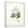 thumbnail image 3 of Designart 'Ancient Botanicals XII' Farmhouse Framed Canvas Wall Art Print, 3 of 5